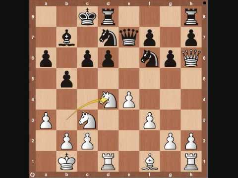 The Chess Games Of Kasparov